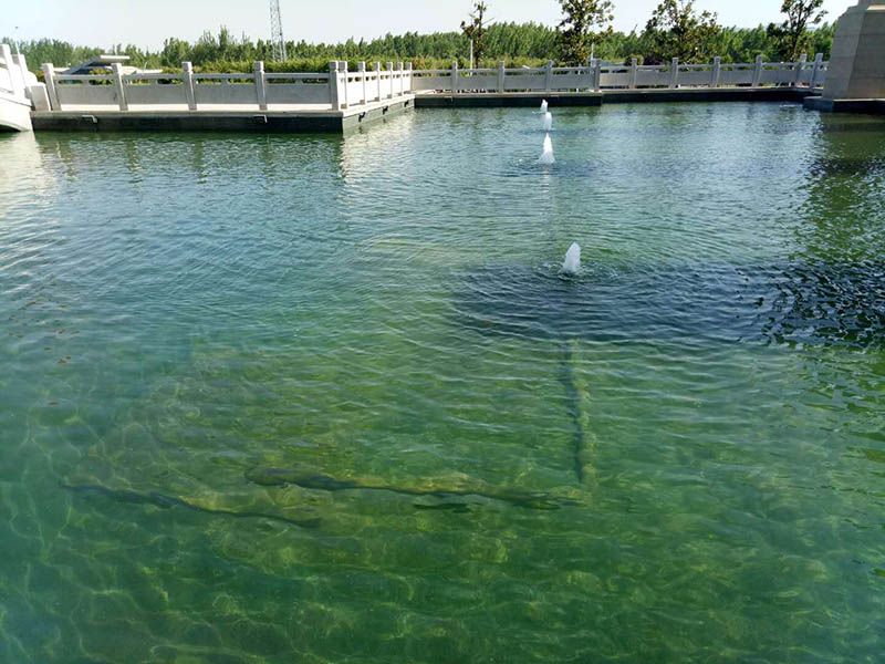 威海魚池水處理水凈化水循環(huán)設(shè)備
